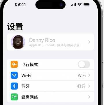 齐河appleID维修服务iPhone设置中Apple ID显示为灰色无法使用