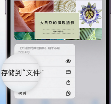 齐河apple维修中心分享iPhone文件应用中存储和找到下载文件