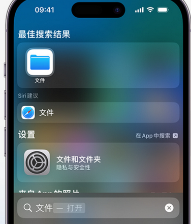 齐河apple维修中心分享iPhone文件应用中存储和找到下载文件 