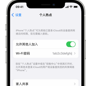 齐河apple服务站点分享iPhone上个人热点丢失了怎么办