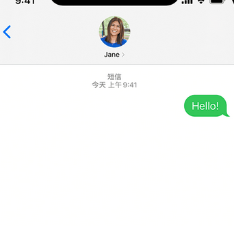 齐河apple维修iPhone上无法正常发送iMessage信息