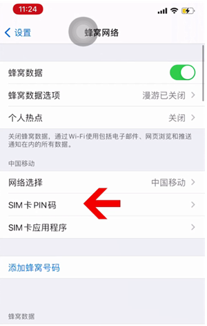 齐河苹果14维修网分享如何给iPhone14的SIM卡设置密码 