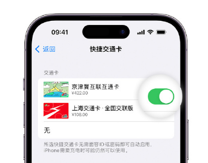 齐河apple维修点分享iPhone上更换Apple Pay快捷交通卡手绘卡面 