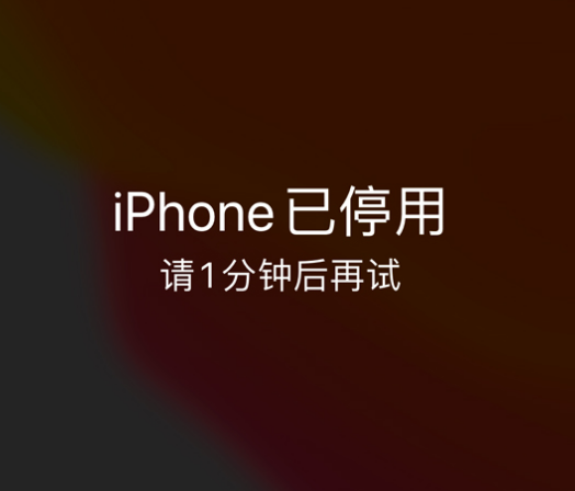 齐河苹果手机维修分享:iPhone 显示“不可用”或“已停用”怎么办？还能保留数据吗？ 