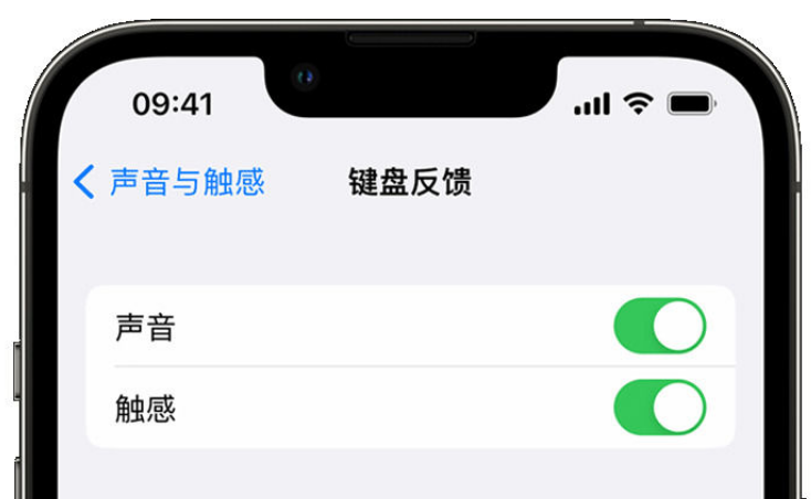 齐河苹果手机维修分享iPhone 14触感键盘使用方法 