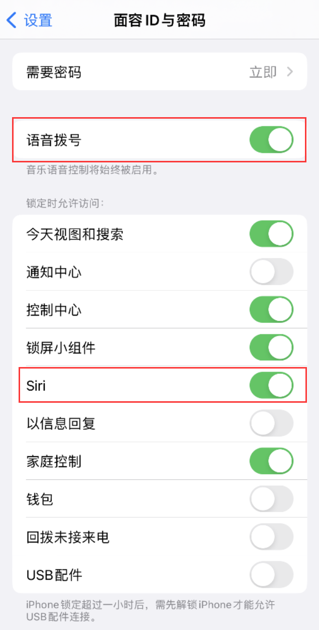 齐河苹果维修网点分享不解锁 iPhone 的情况下通过 Siri 拨打电话的方法 