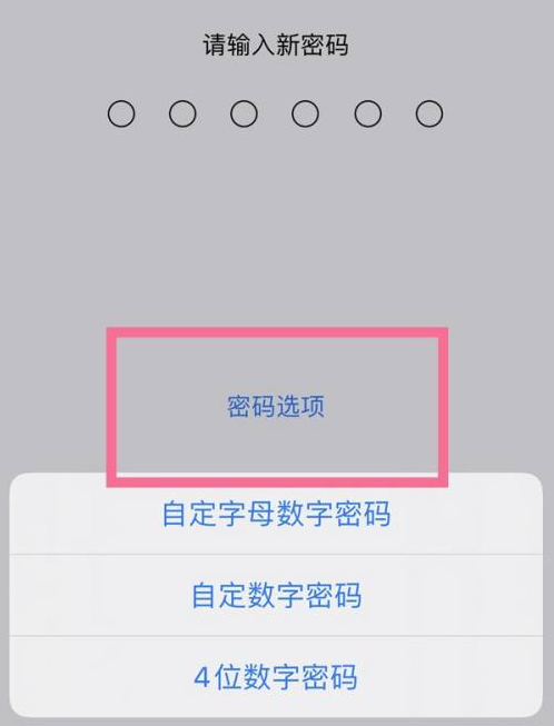 齐河苹果14维修分享iPhone 14plus设置密码的方法 