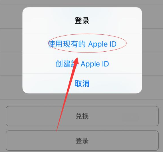 齐河苹果手机维修分享两台iPhone设备可以同时登录一个Apple ID吗 