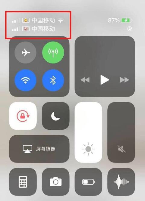 齐河苹果手机维修分享为 iPhone 12 双卡设置标签 