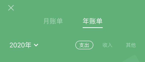 齐河苹果手机维修分享如何在 iPhone 上查看支付宝和微信年支出账单 